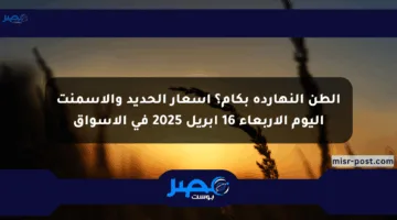 الطن النهاردة بكام؟ أسعار الحديد والأسمنت اليوم الأربعاء 16 أبريل 2025 في الأسواق
